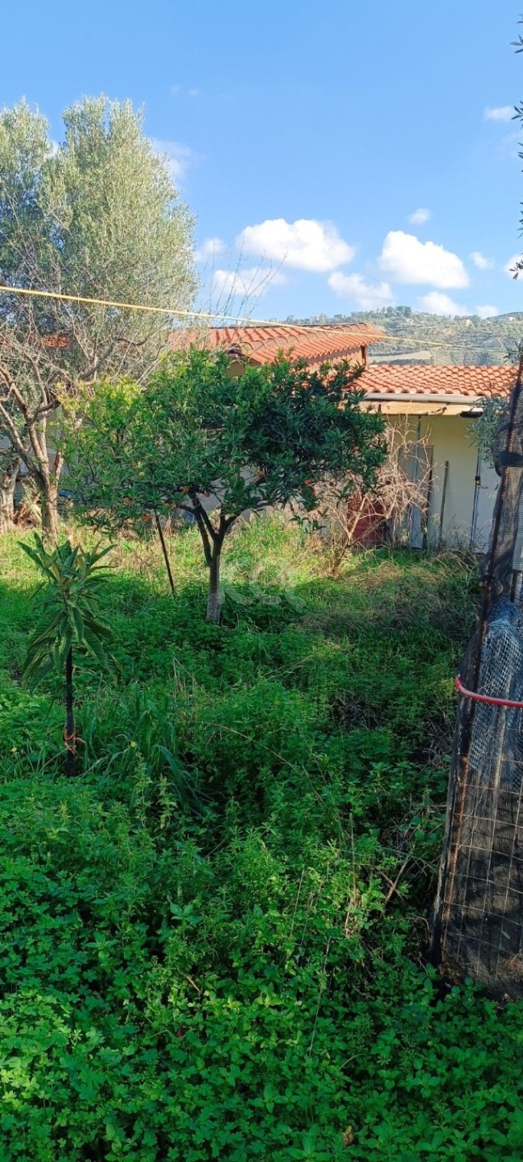 εικόνα αγγελίας