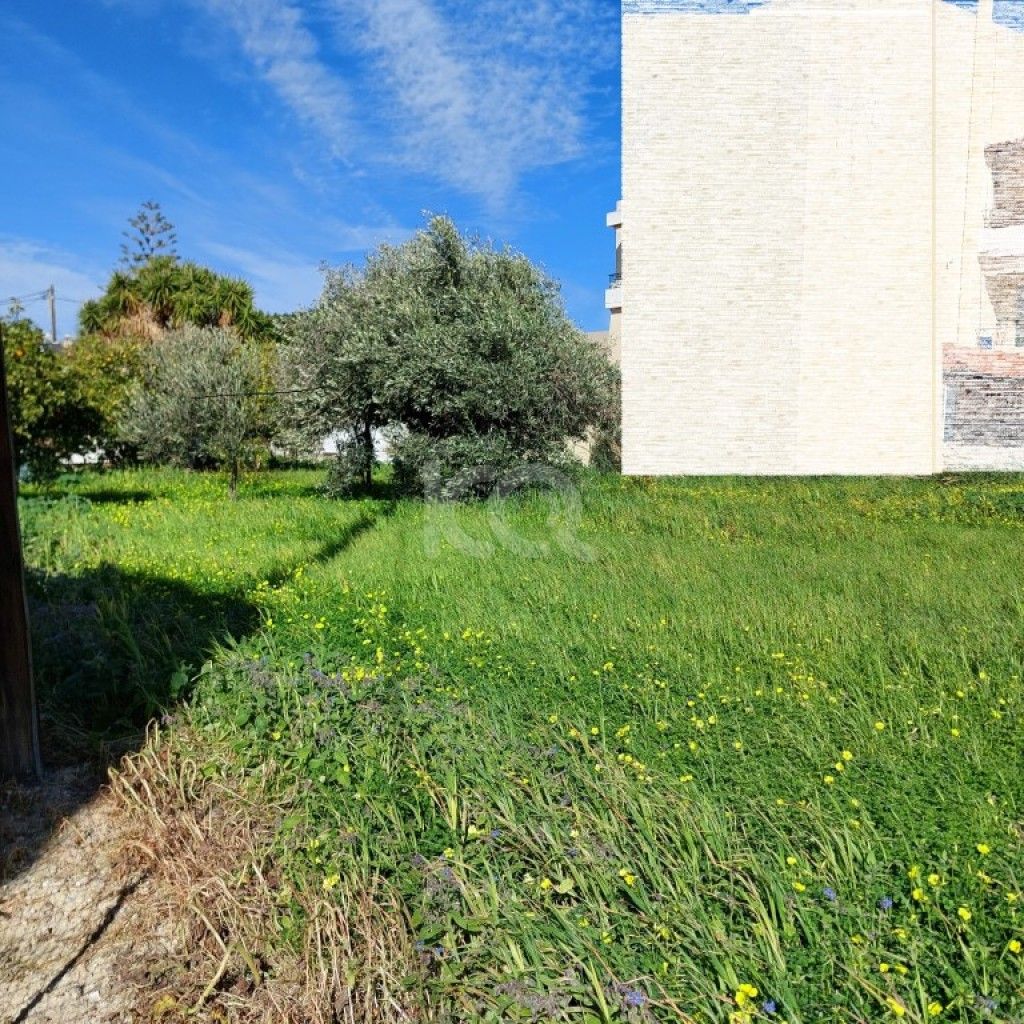 εικόνα αγγελίας