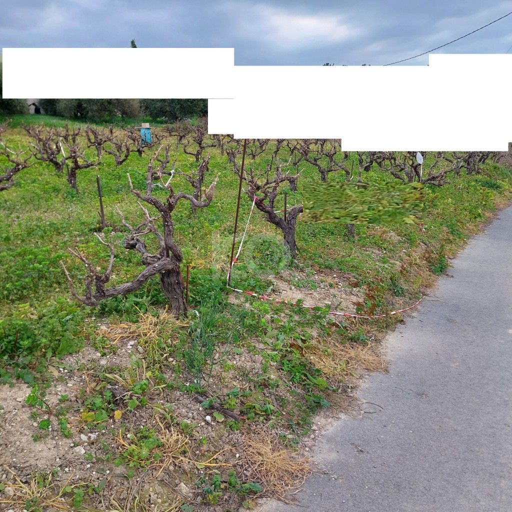 εικόνα αγγελίας