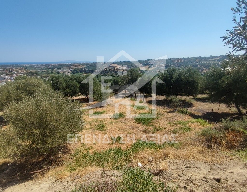 εικόνα αγγελίας