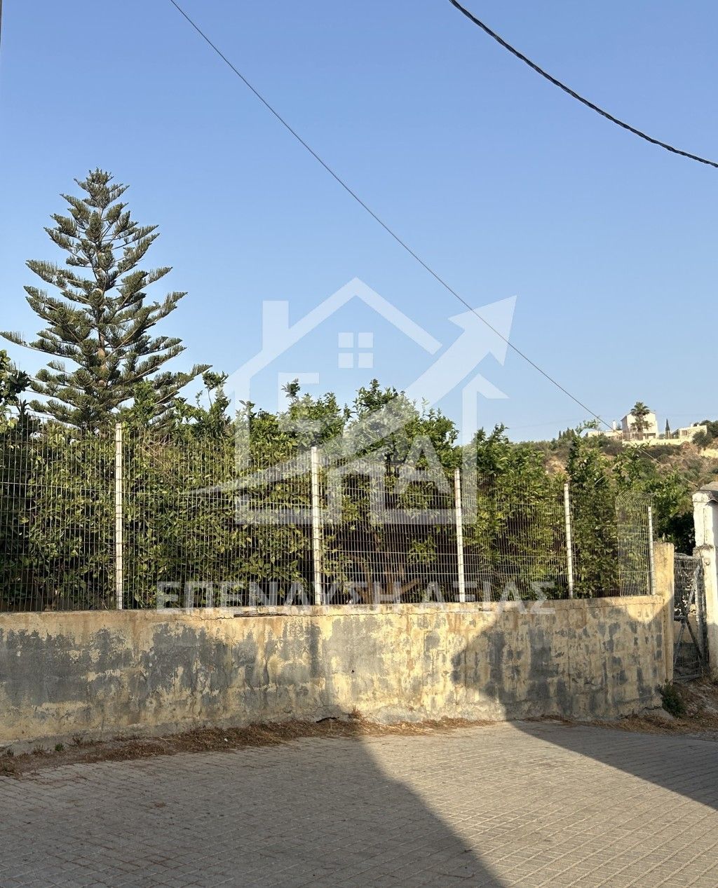 εικόνα αγγελίας
