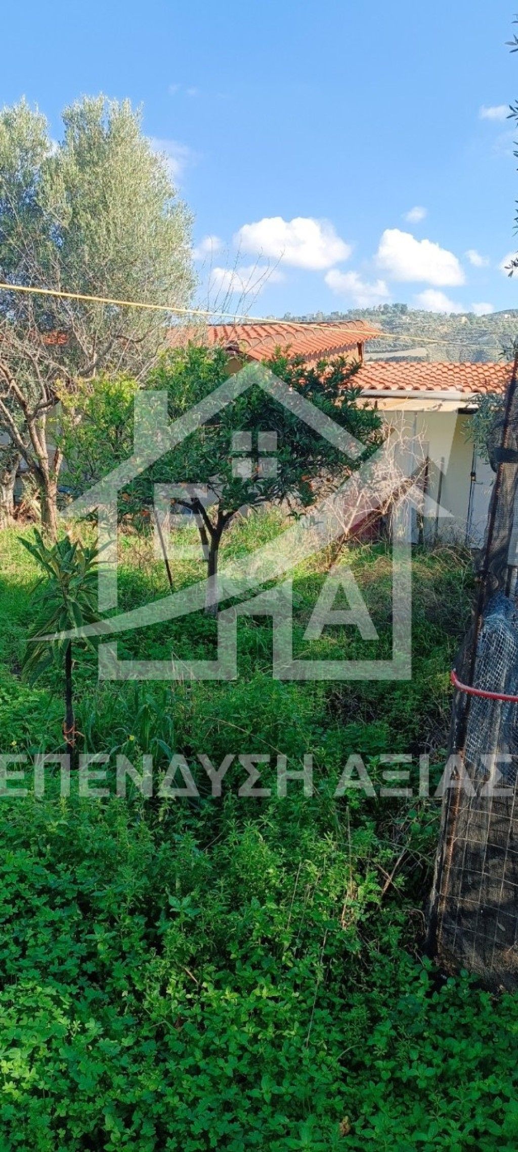 εικόνα αγγελίας