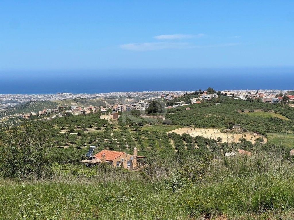 εικόνα αγγελίας