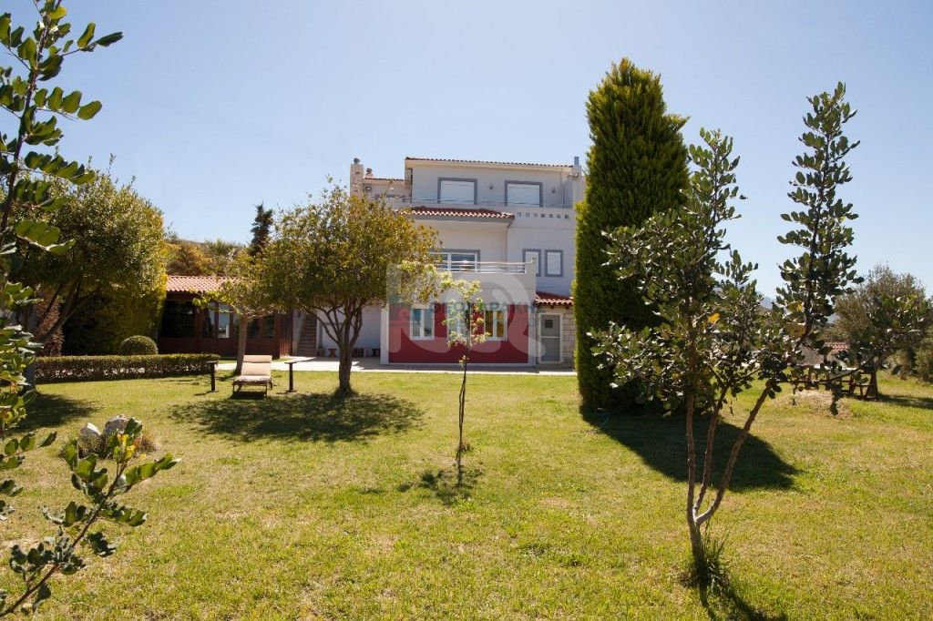 εικόνα αγγελίας