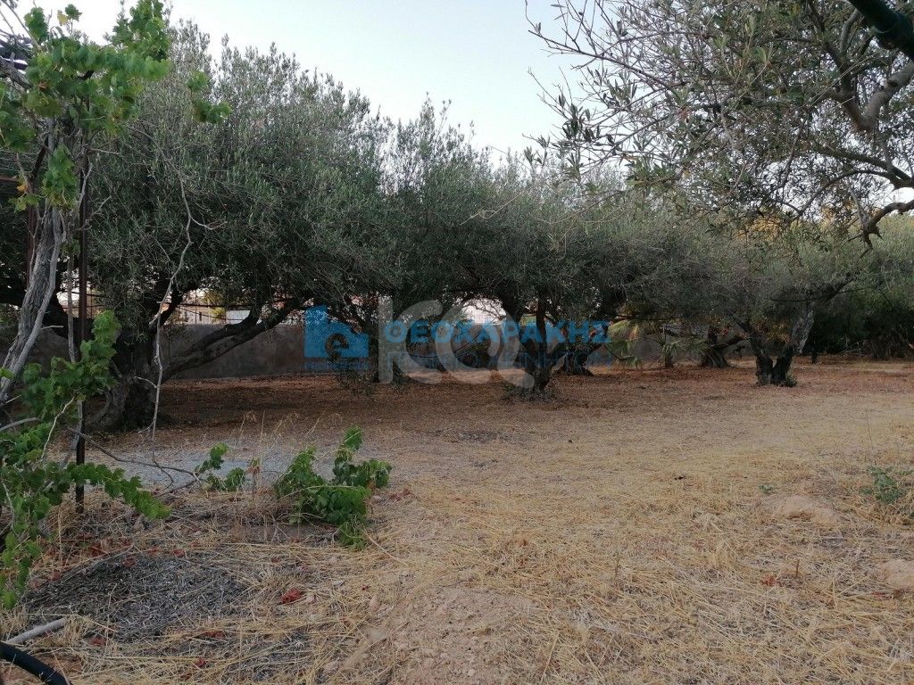 εικόνα αγγελίας