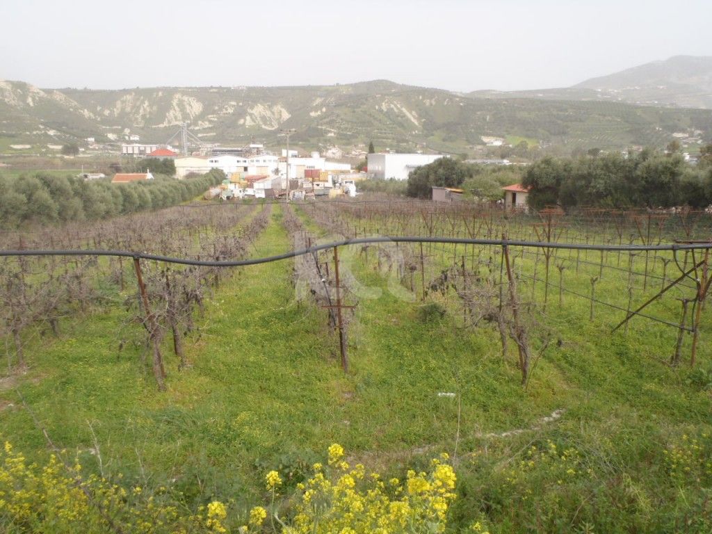 εικόνα αγγελίας