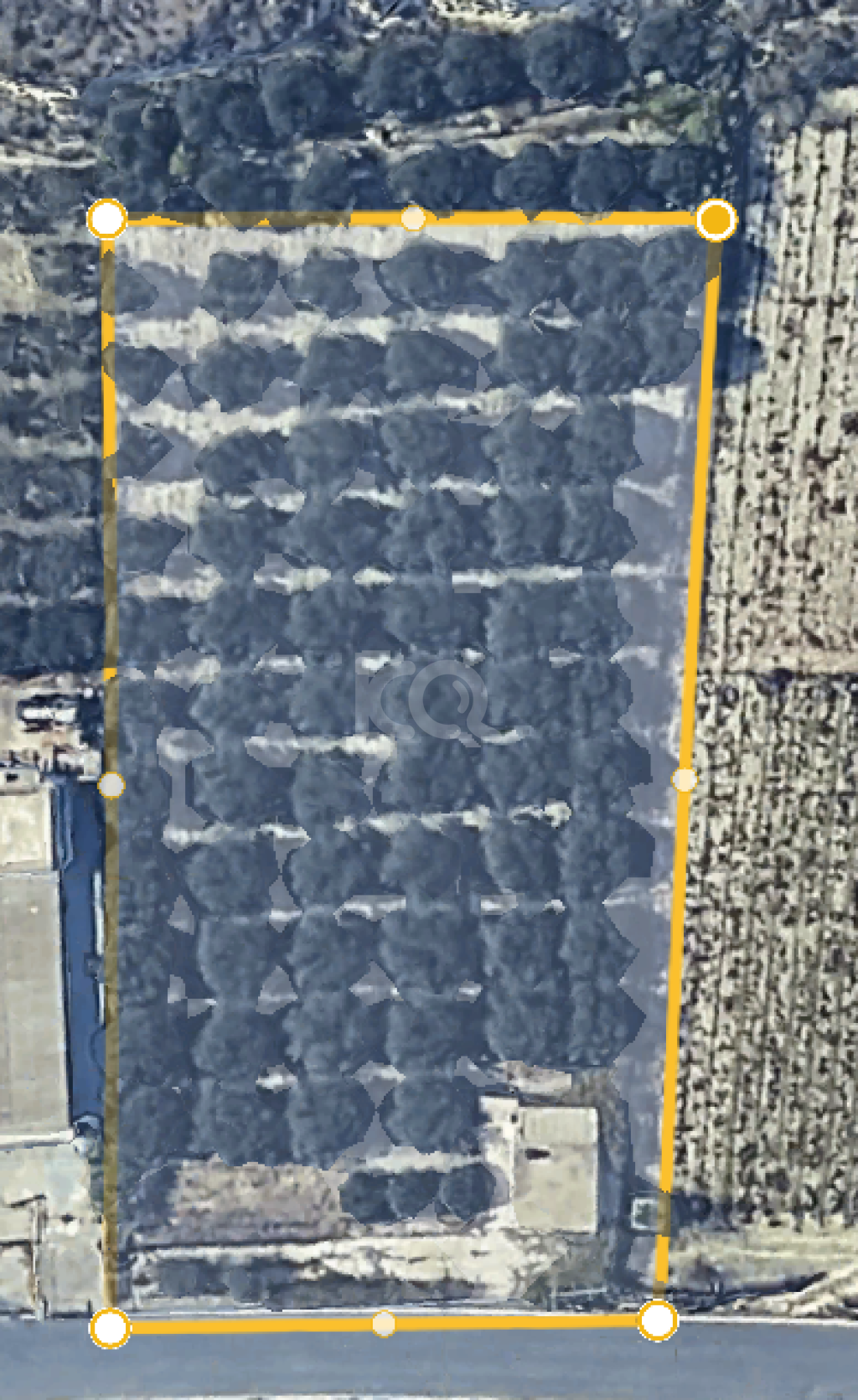 εικόνα αγγελίας