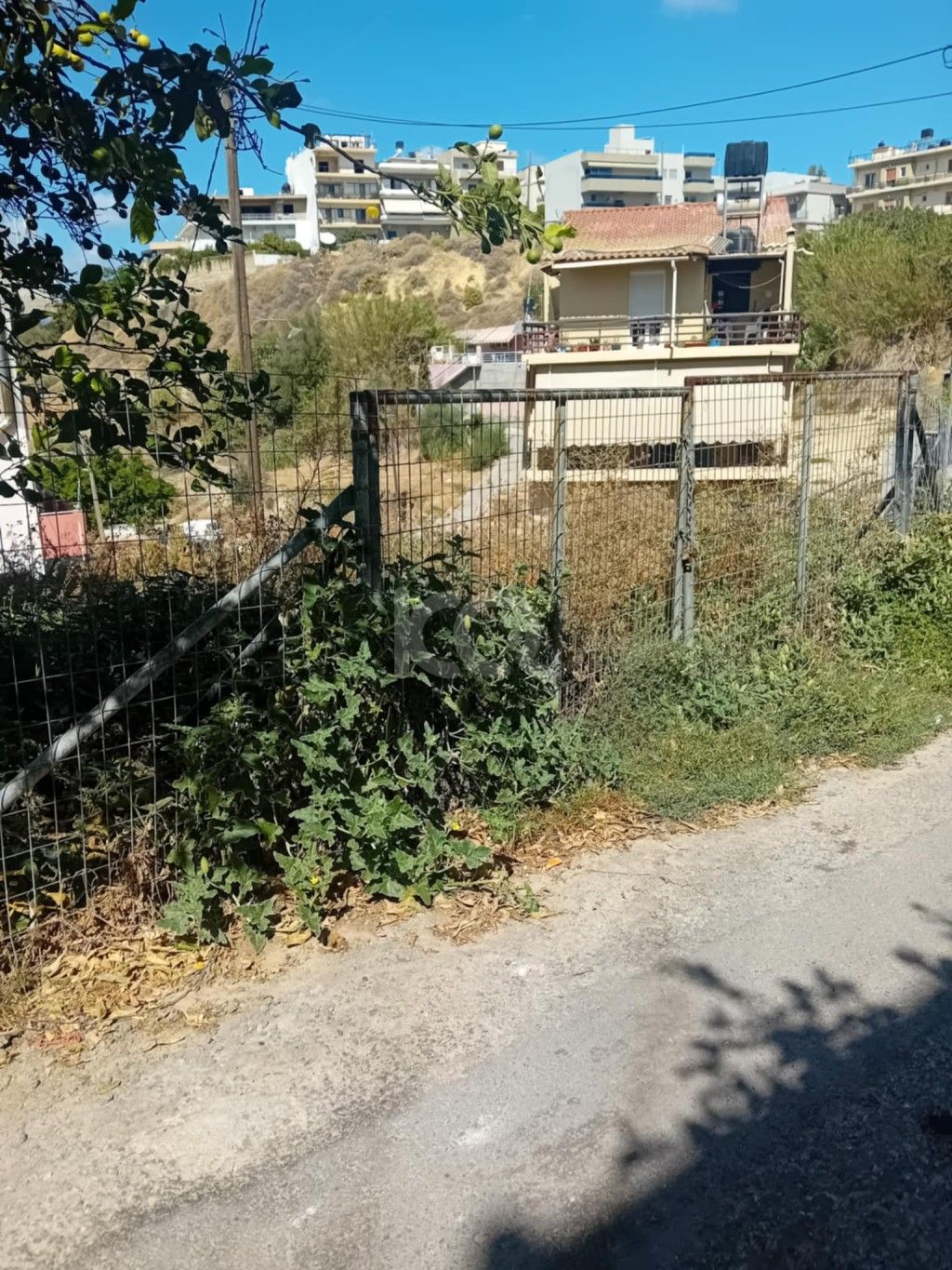 εικόνα αγγελίας