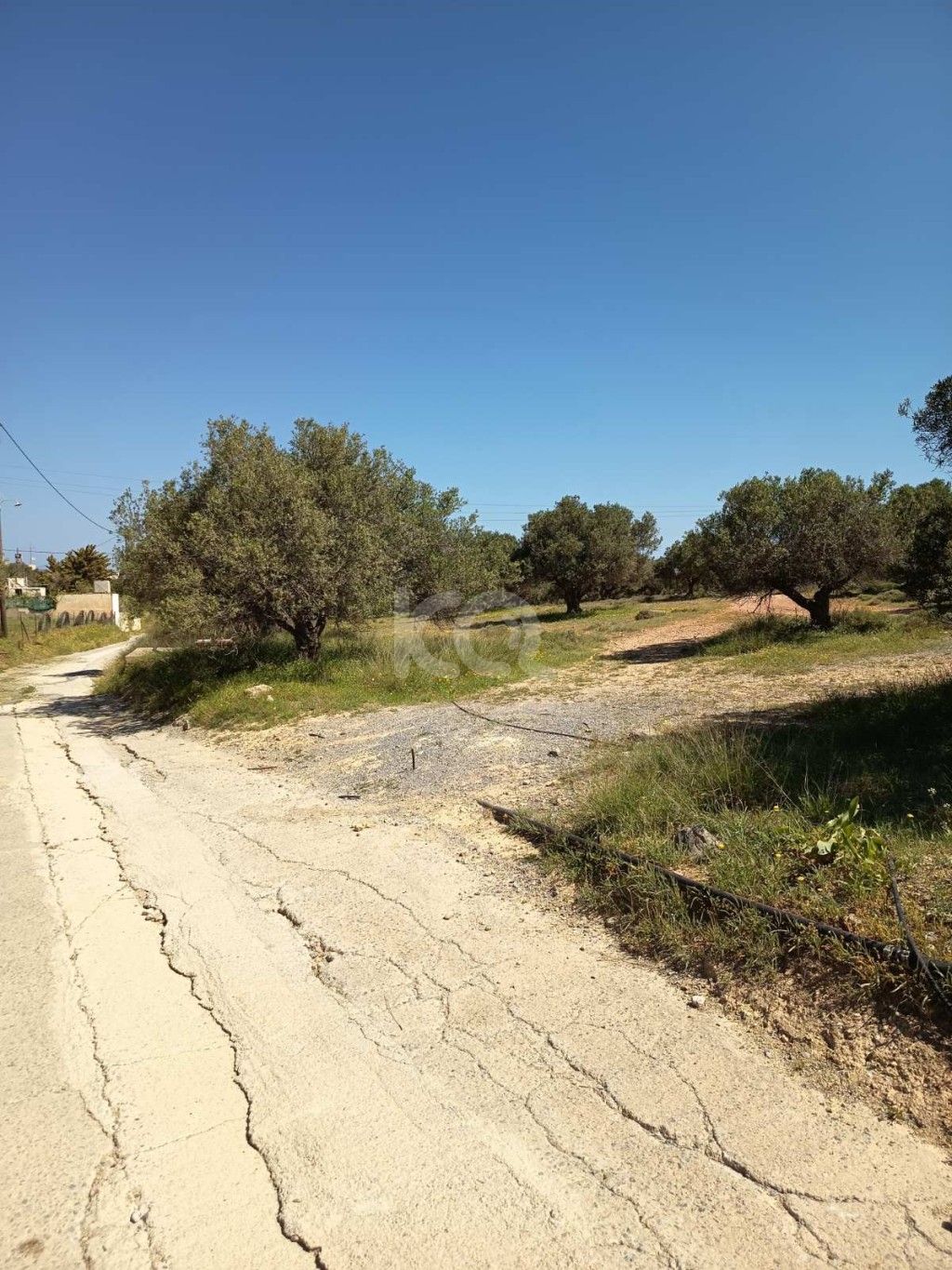 εικόνα αγγελίας