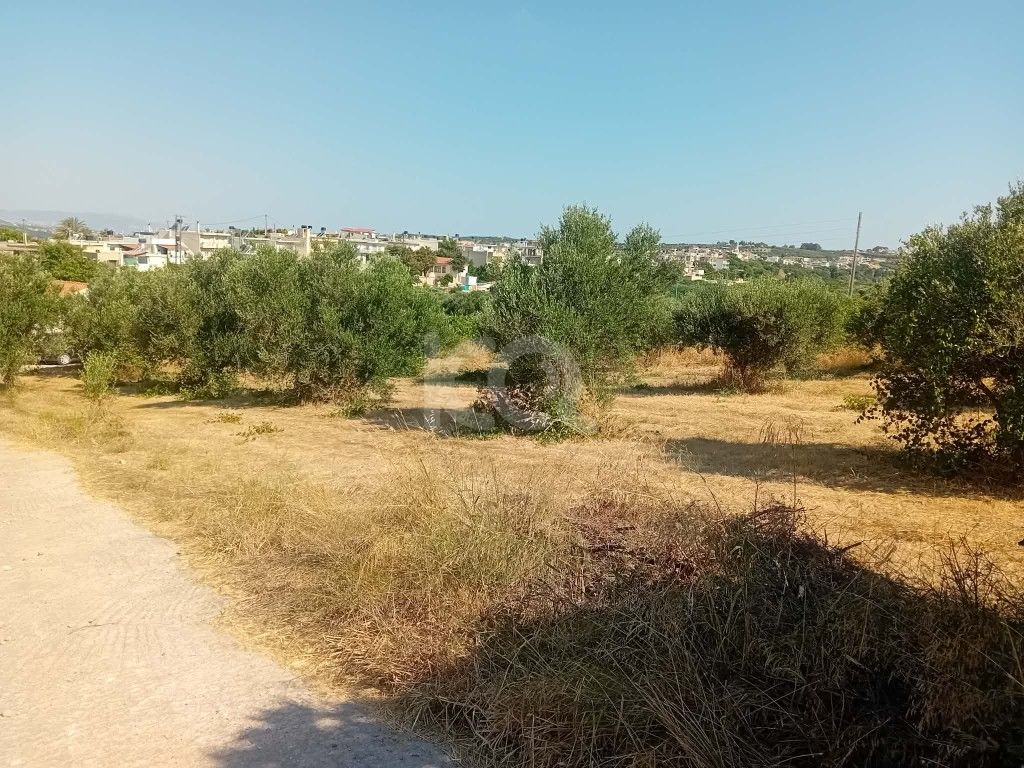 εικόνα αγγελίας