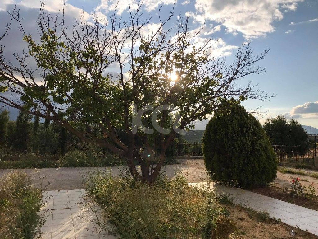 εικόνα αγγελίας