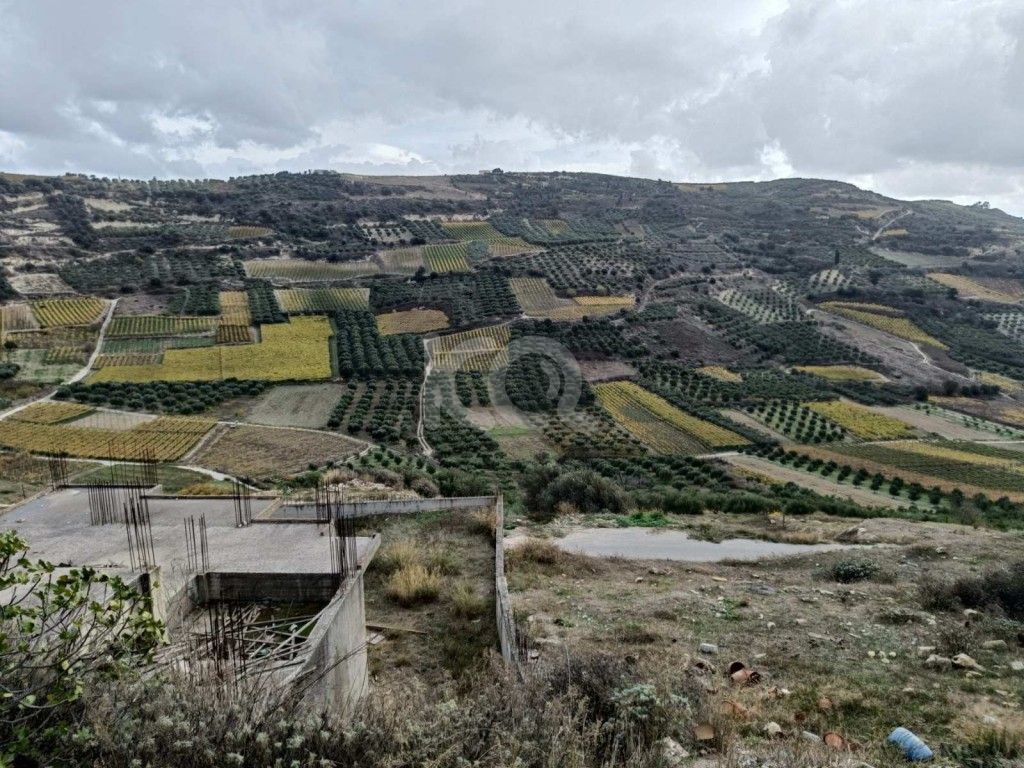 εικόνα αγγελίας