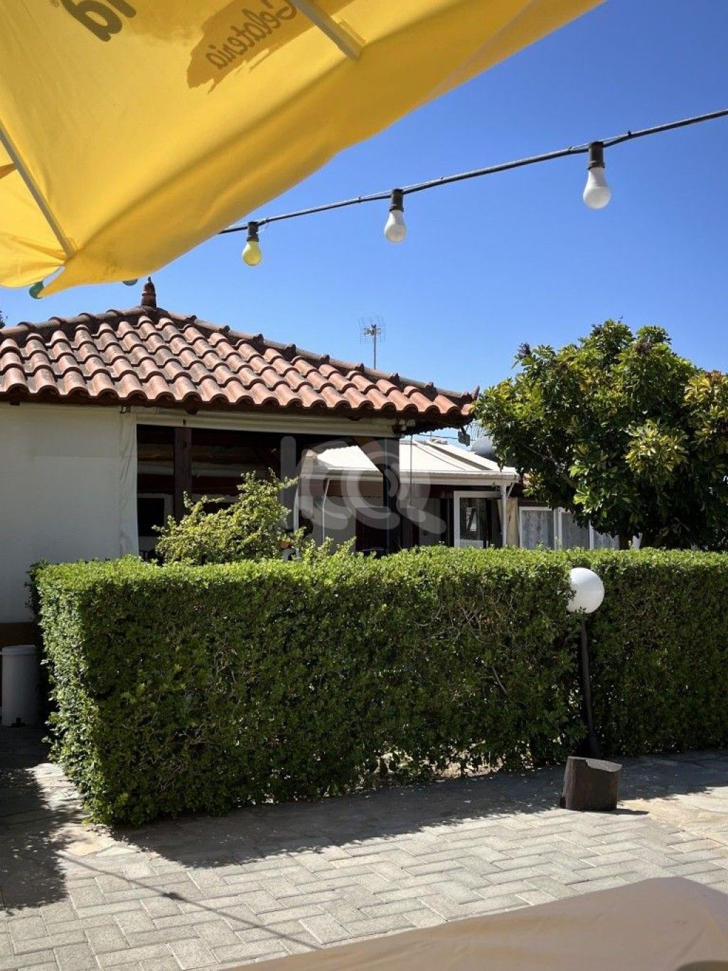 εικόνα αγγελίας