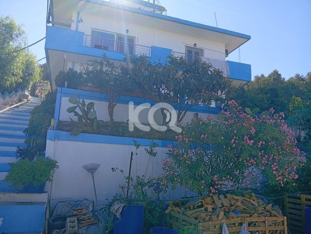 εικόνα αγγελίας