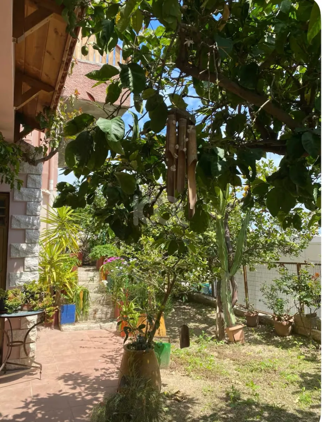 εικόνα αγγελίας