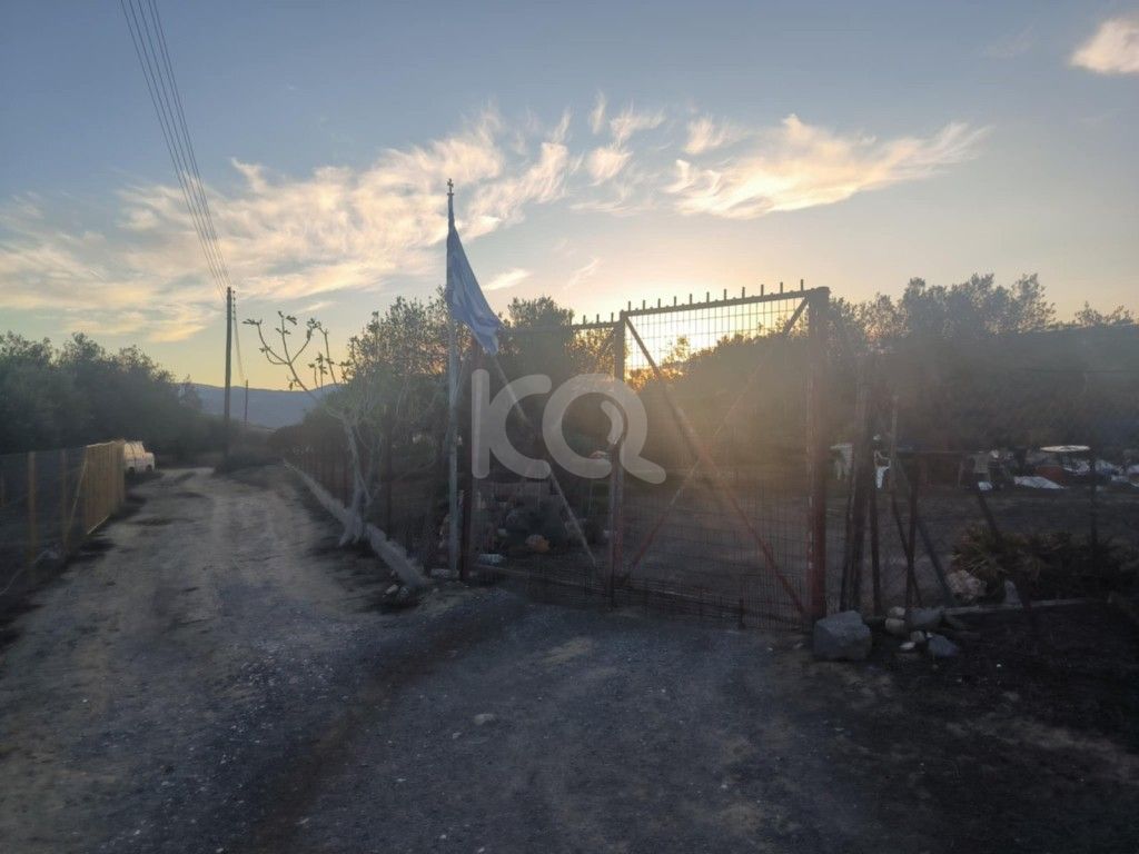 εικόνα αγγελίας