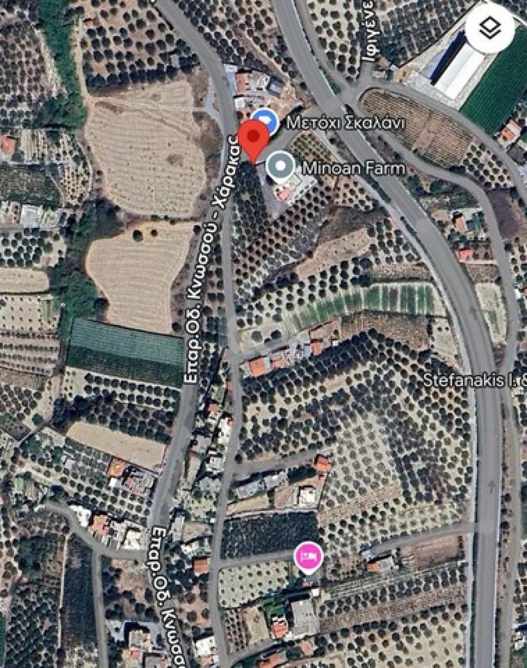 εικόνα αγγελίας