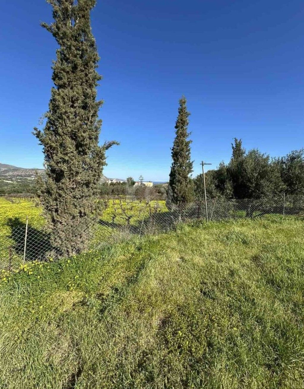 εικόνα αγγελίας