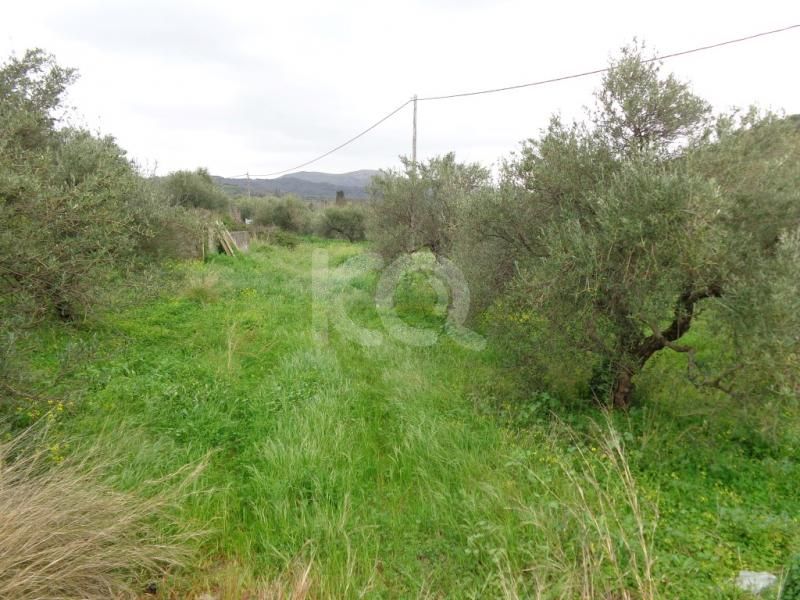 εικόνα αγγελίας