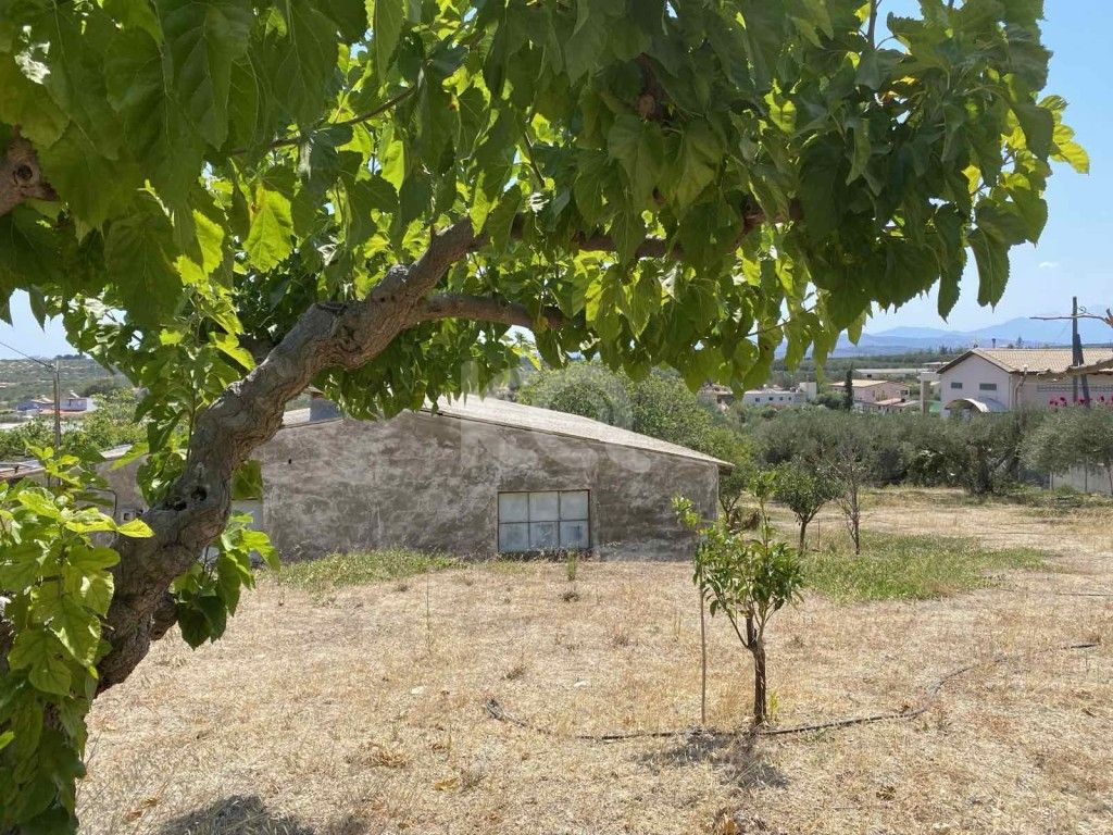 εικόνα αγγελίας