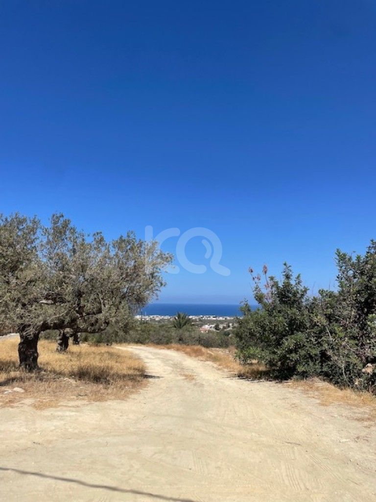 εικόνα αγγελίας