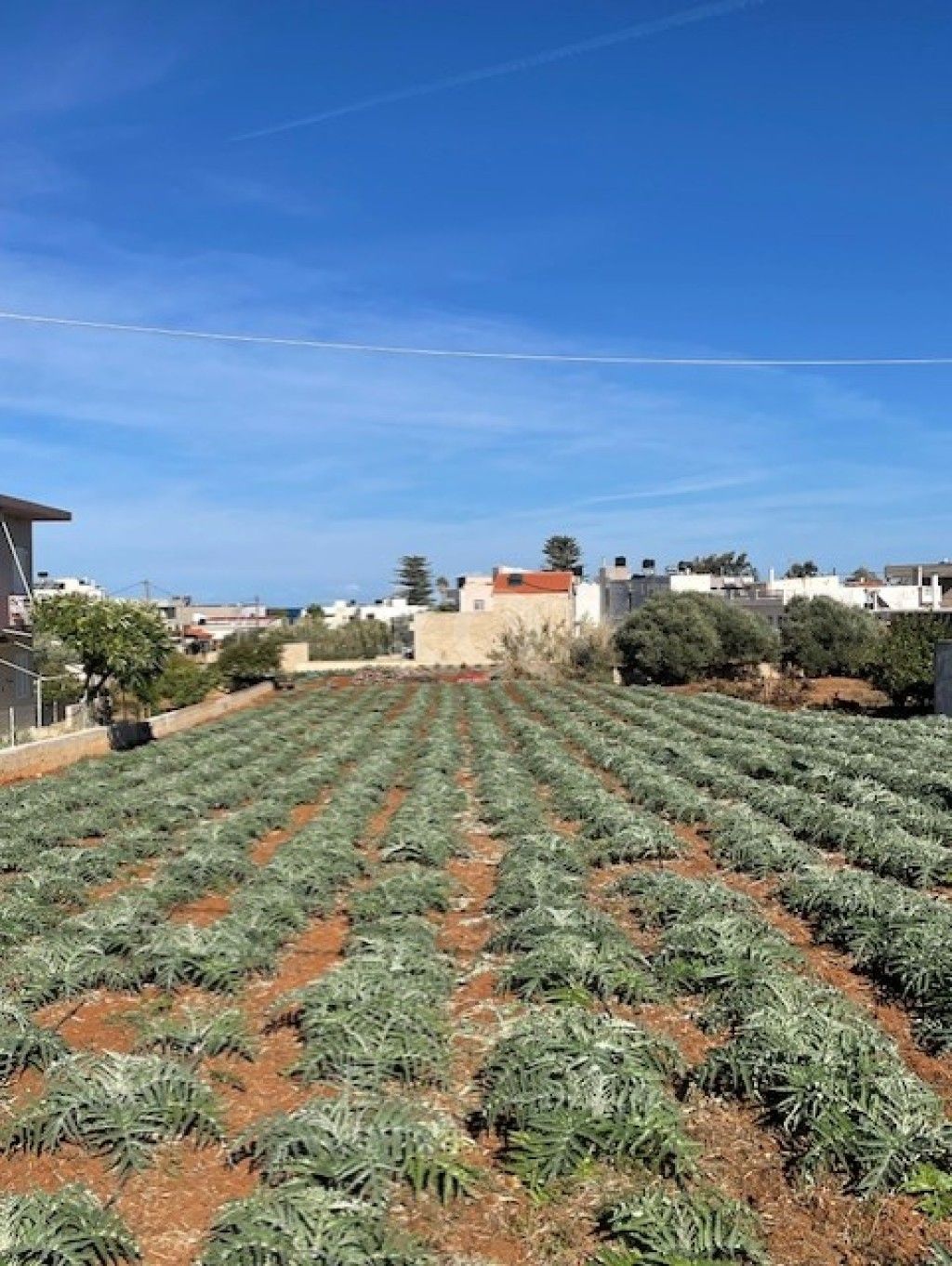 εικόνα αγγελίας