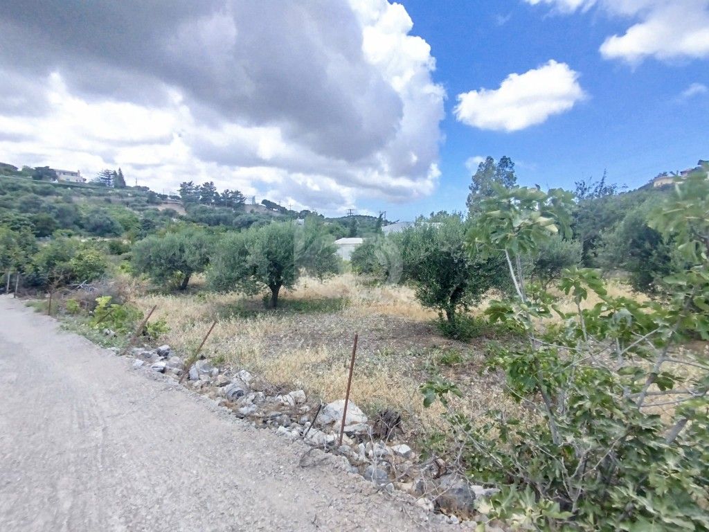 εικόνα αγγελίας