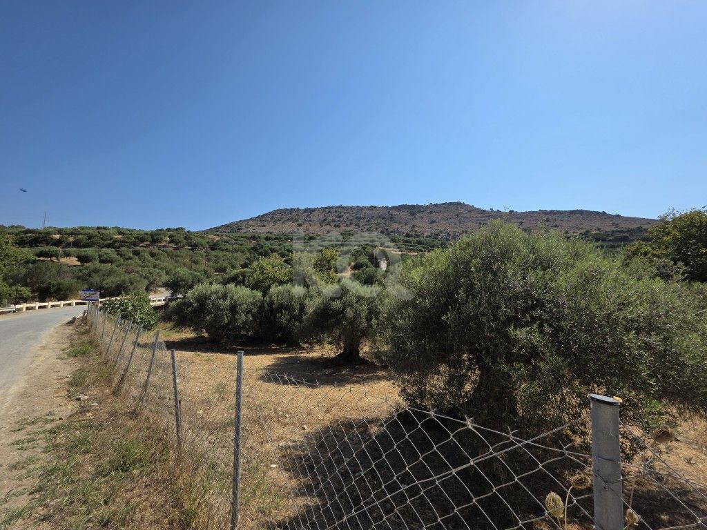 εικόνα αγγελίας