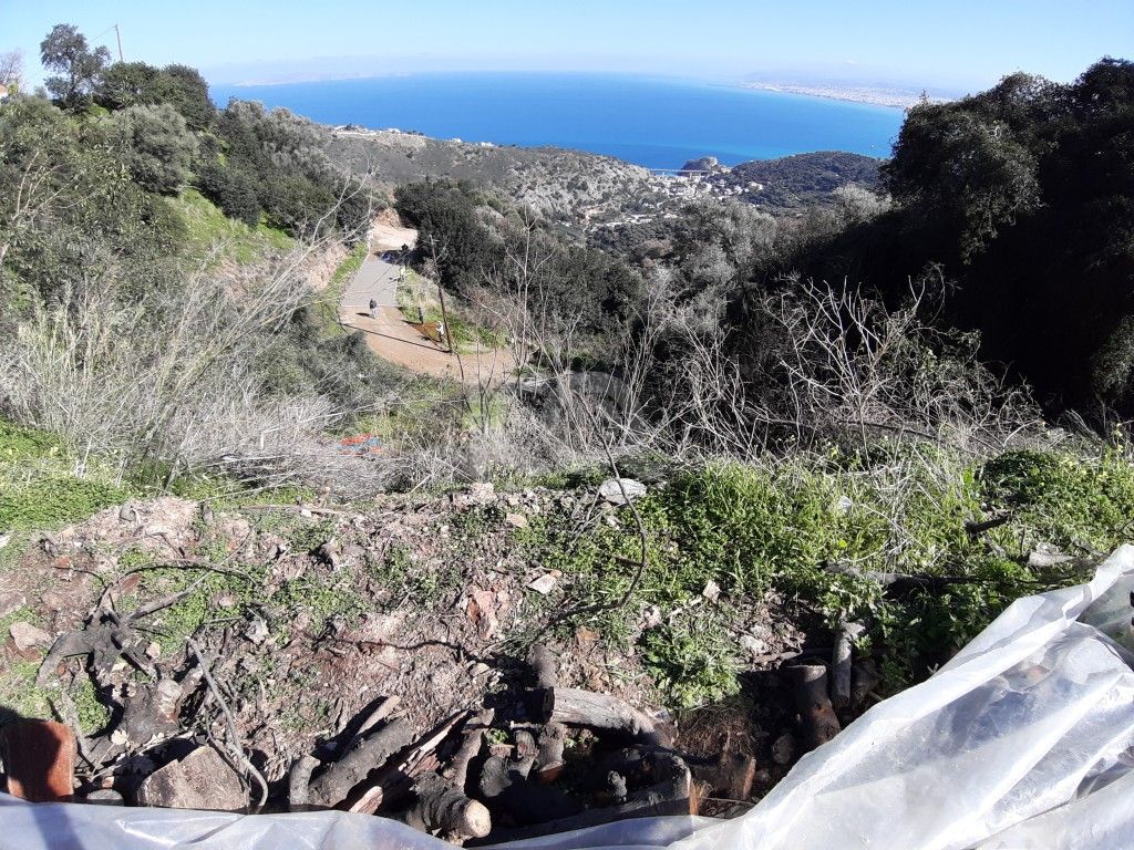 εικόνα αγγελίας