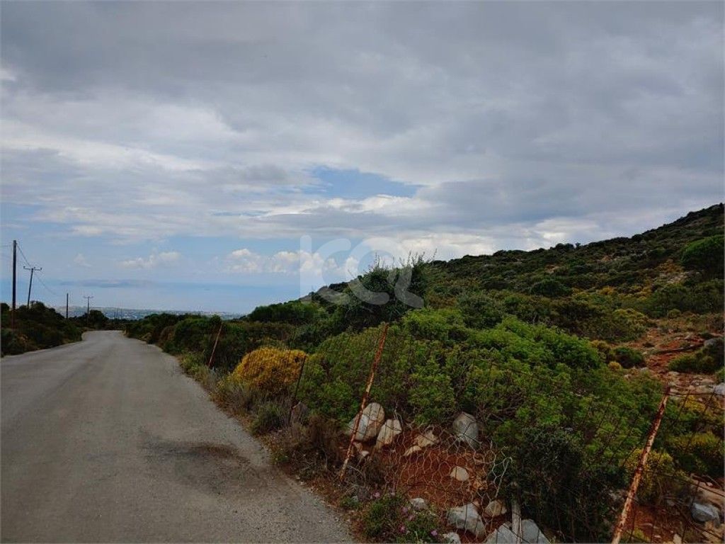 εικόνα αγγελίας