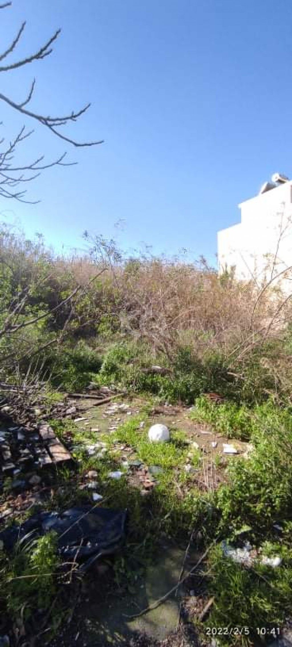 εικόνα αγγελίας