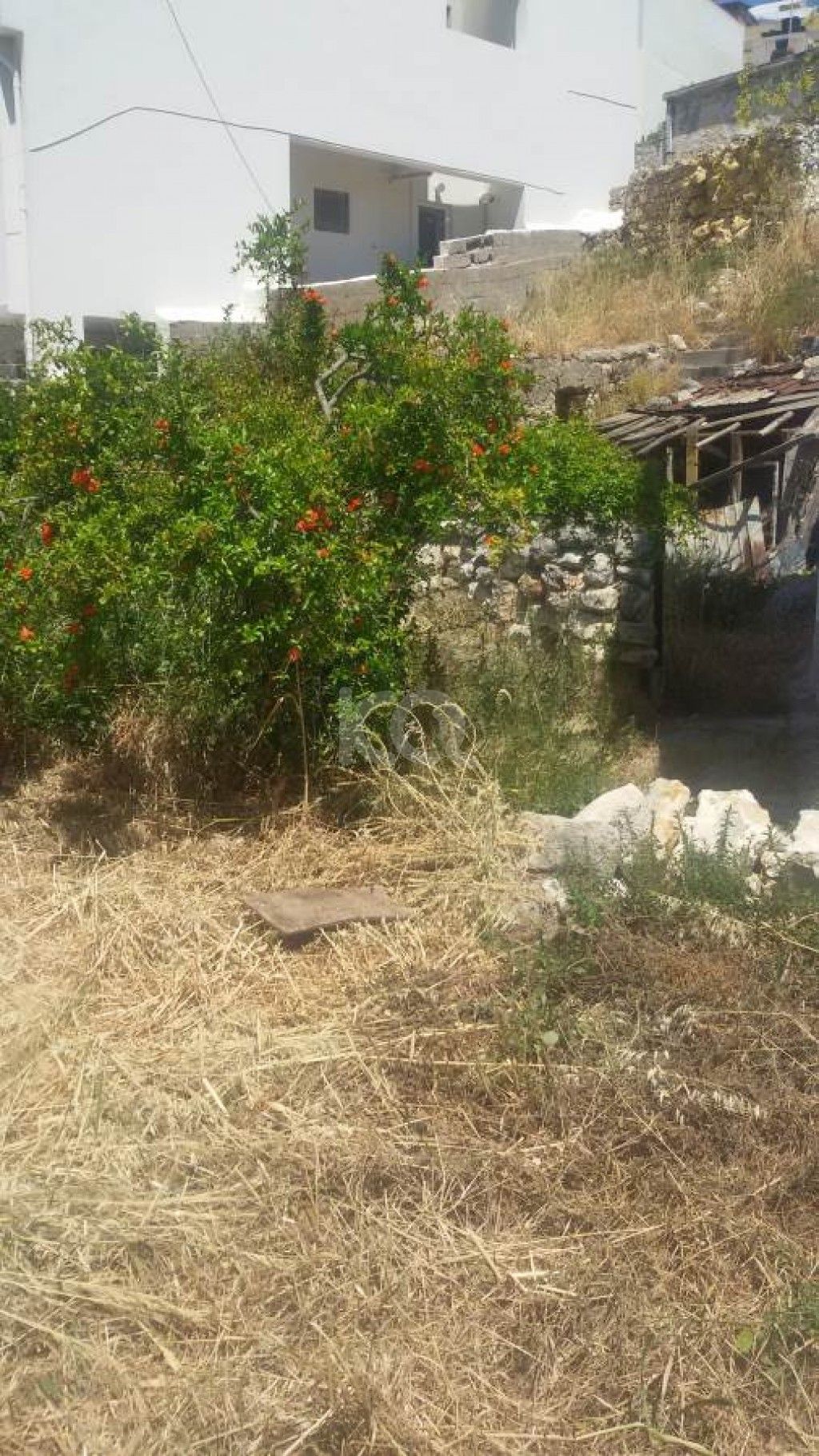 εικόνα αγγελίας