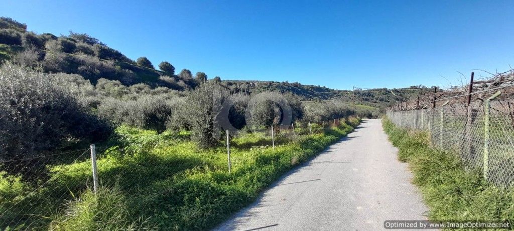 εικόνα αγγελίας