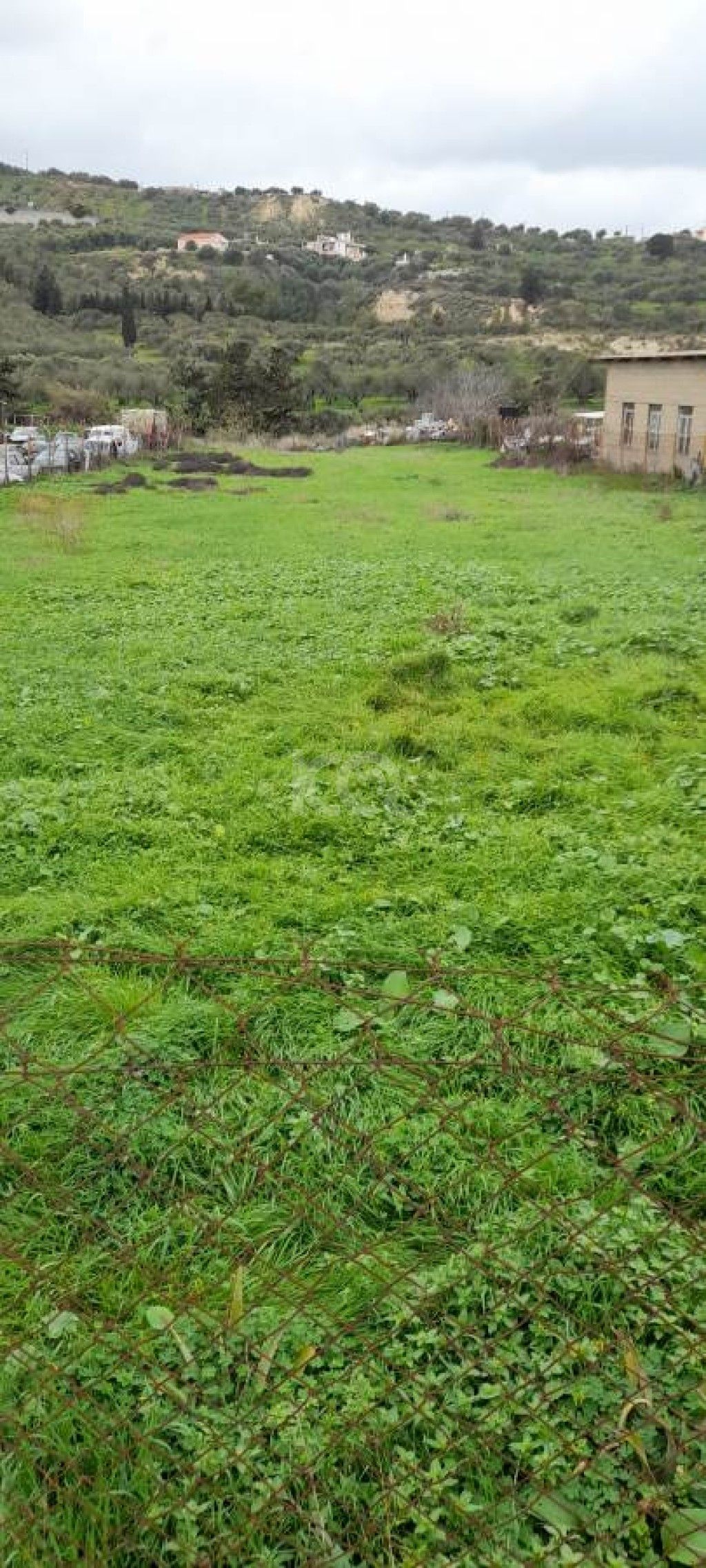 εικόνα αγγελίας