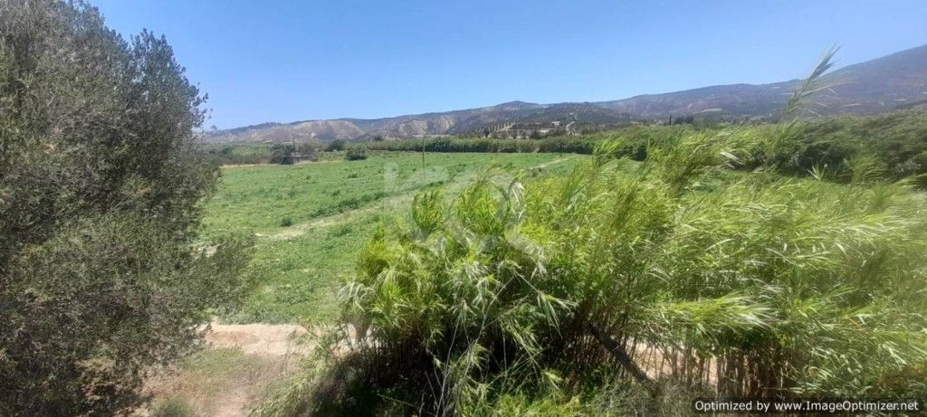 εικόνα αγγελίας