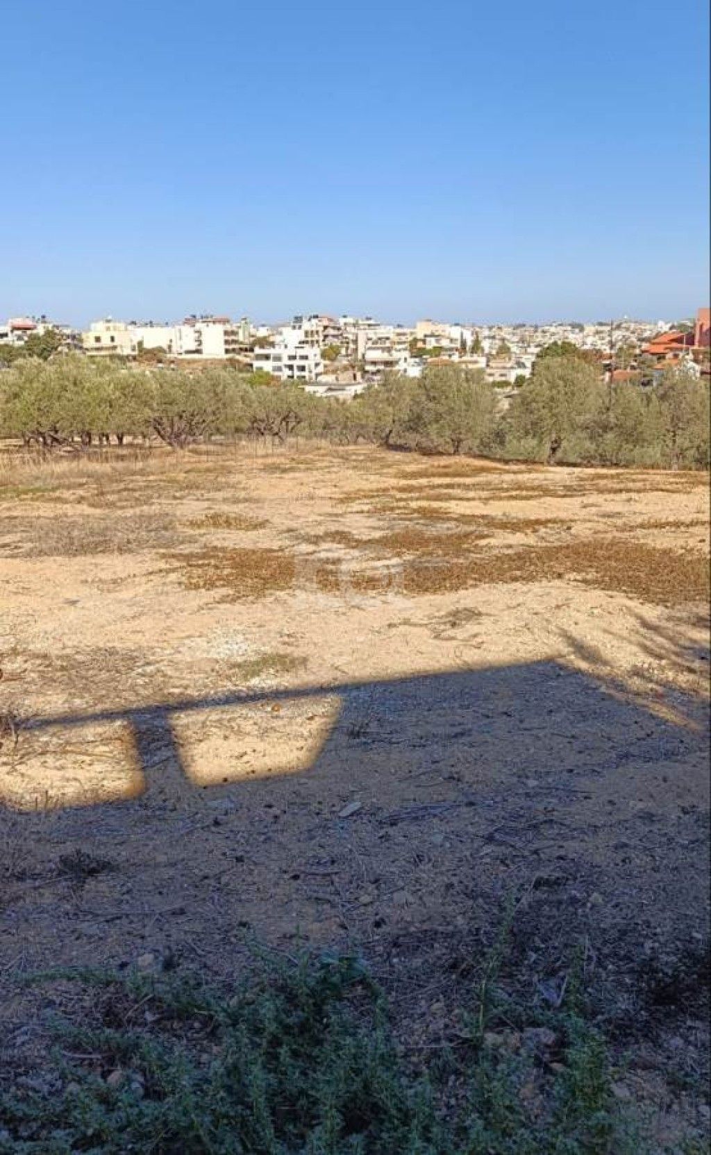 εικόνα αγγελίας