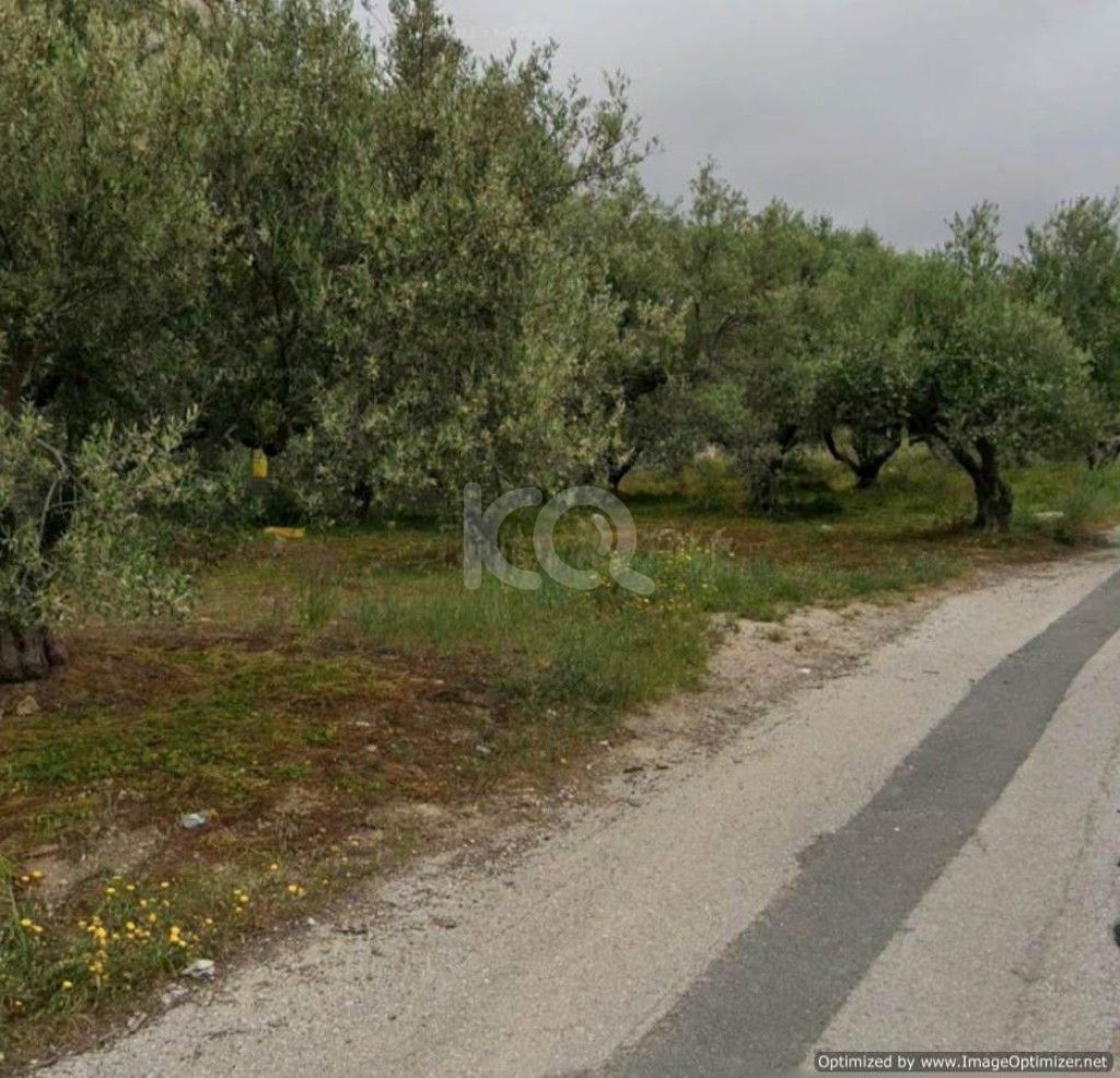 εικόνα αγγελίας