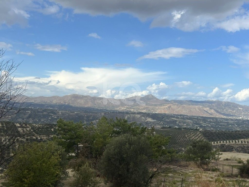 εικόνα αγγελίας