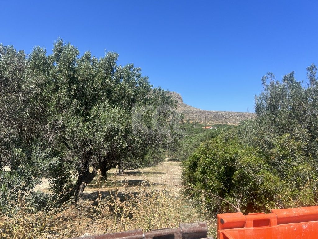 εικόνα αγγελίας
