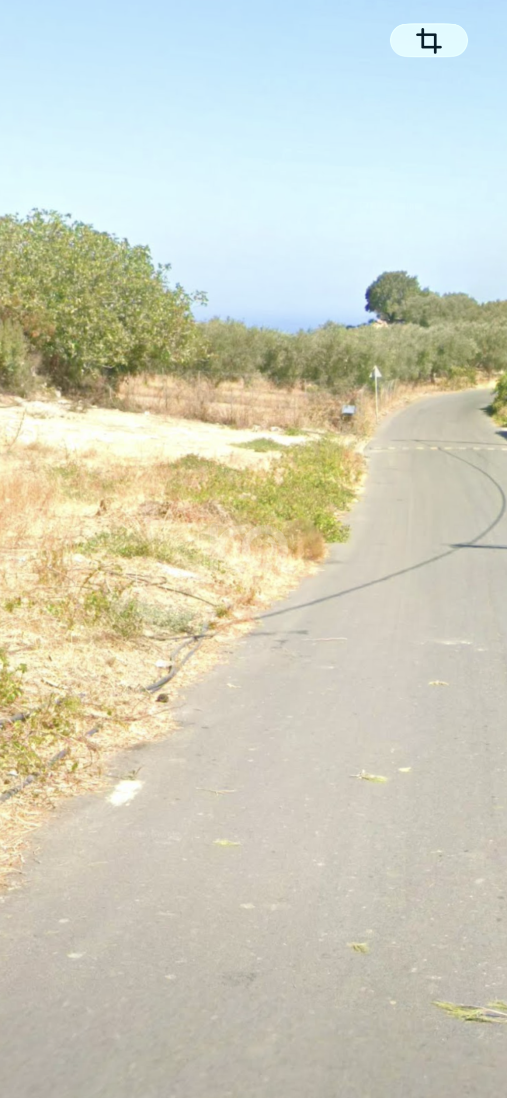 εικόνα αγγελίας