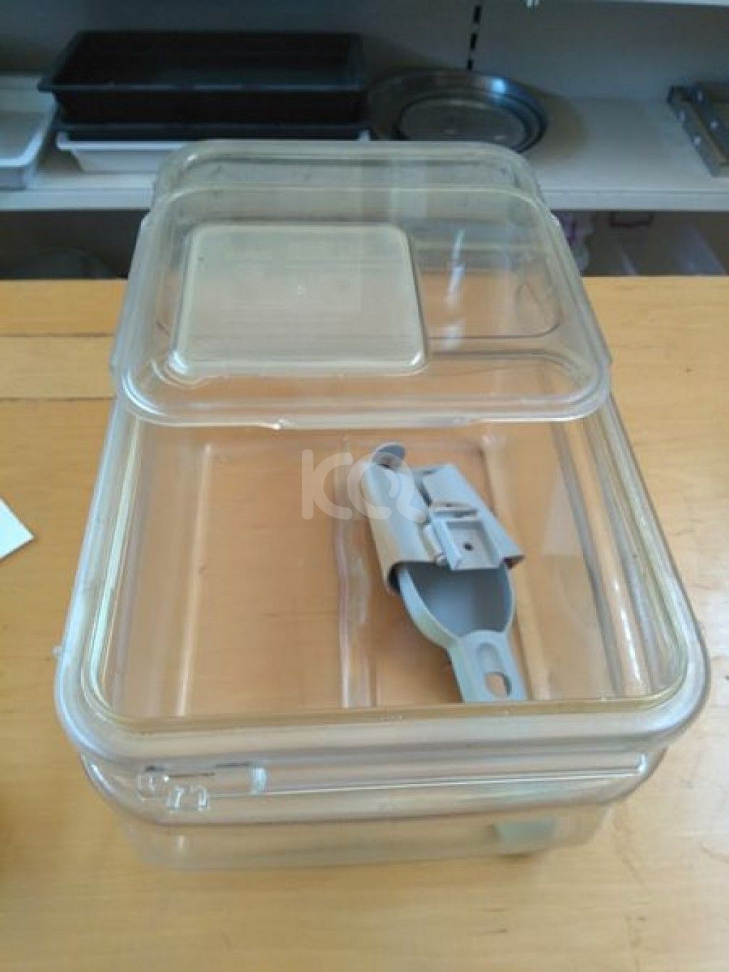 εικόνα αγγελίας