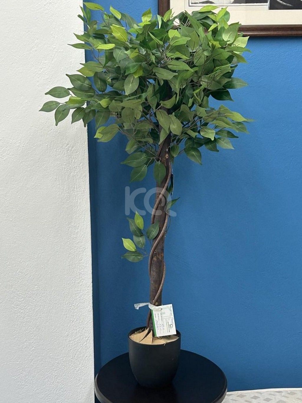 εικόνα αγγελίας