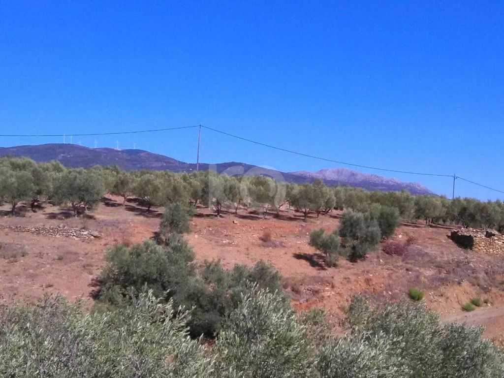 εικόνα αγγελίας