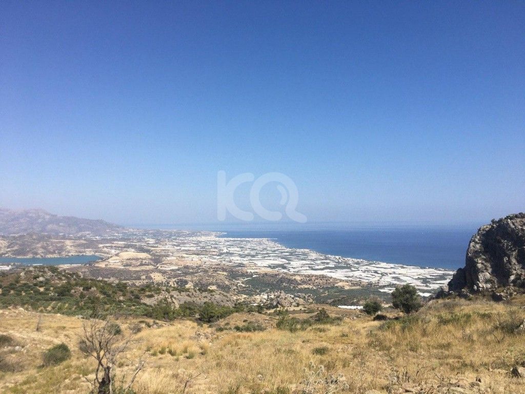 εικόνα αγγελίας