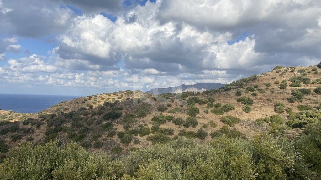 εικόνα αγγελίας