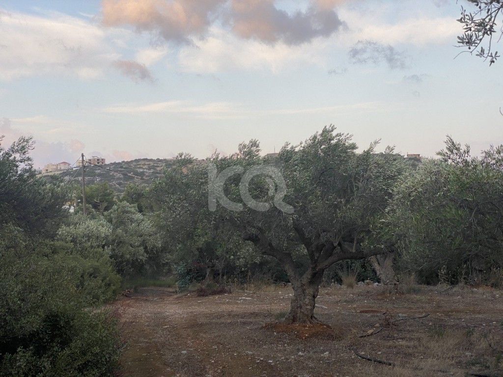 εικόνα αγγελίας