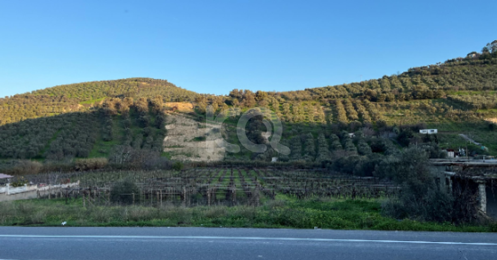 εικόνα αγγελίας