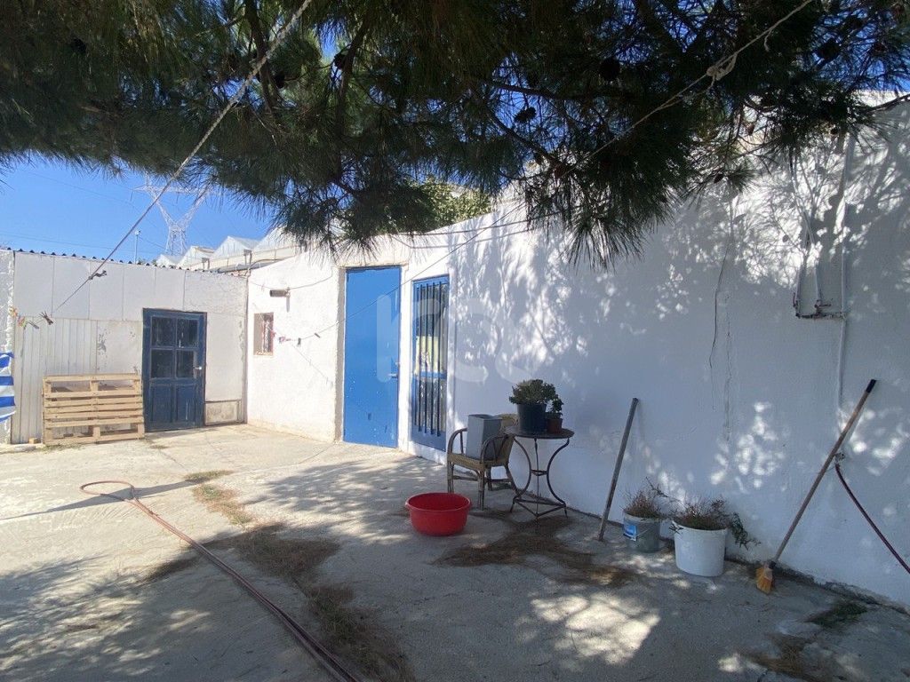 εικόνα αγγελίας