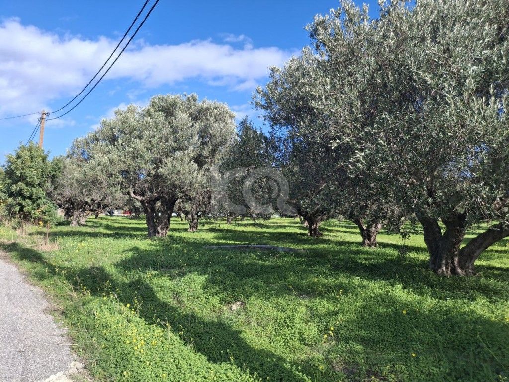 εικόνα αγγελίας