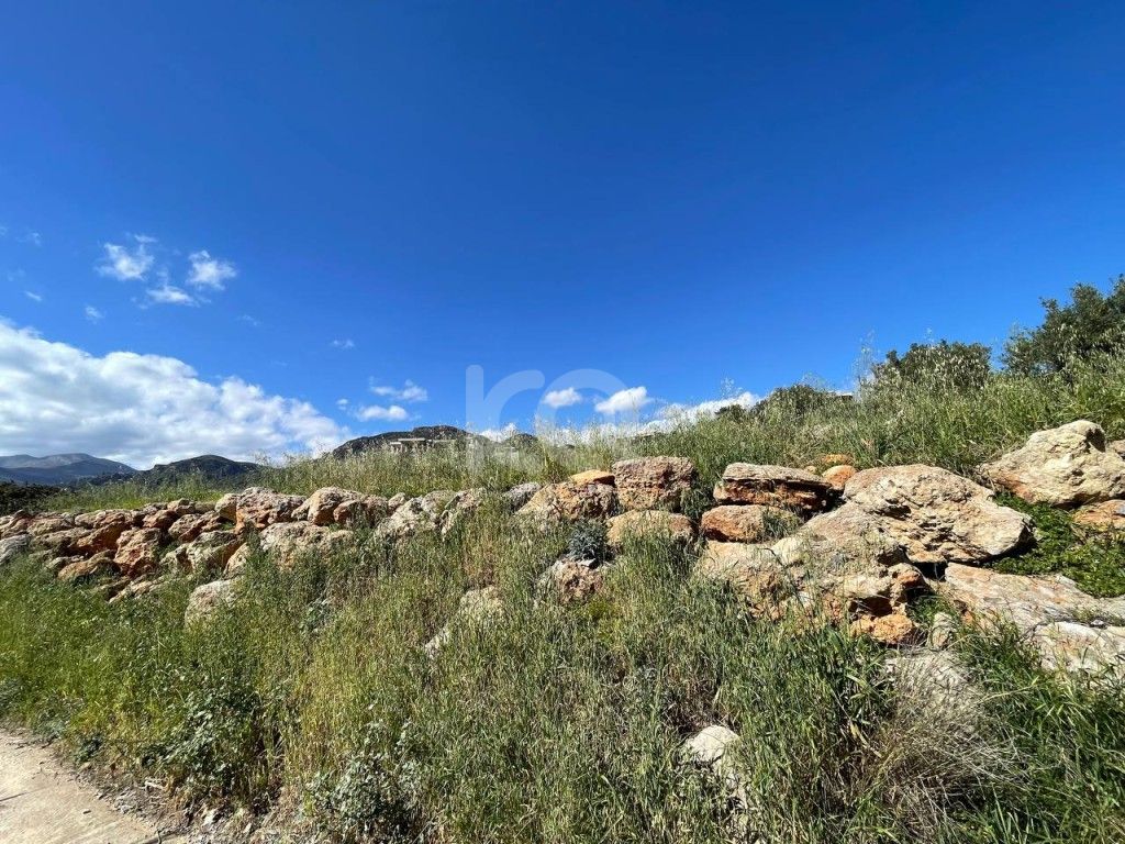 εικόνα αγγελίας